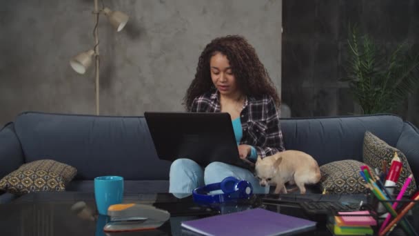 Negrita mujer de negocios celebrando acuerdo exitoso en interiores — Vídeos de Stock