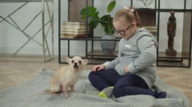 Özel ihtiyaçları olan kız chihuahua köpek numaraları eğitiyor.