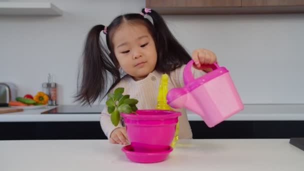 Retrato de adorável asiático criança menina molhando planta — Vídeo de Stock