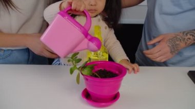 Küçük tatlı Asyalı kız yeşil bitkileri içeride suluyor.