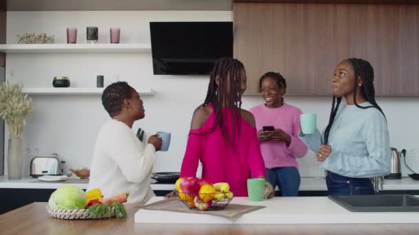 Família africana alegre desfrutando de lazer na cozinha doméstica — Vídeo de Stock