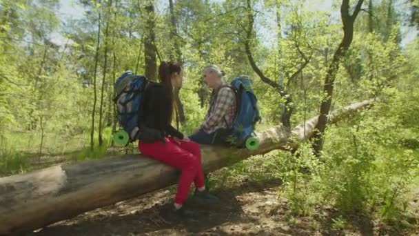 Vandrarpar med ryggsäckar sittande på bakluckan, vilande under vandringen i skogen — Stockvideo