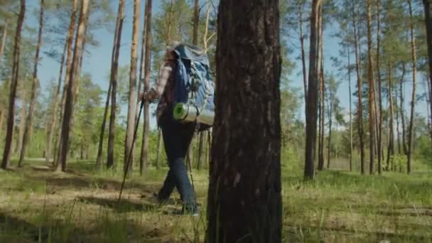 Hiking couple with backpacks exploring summer nature on trek — Stock Video