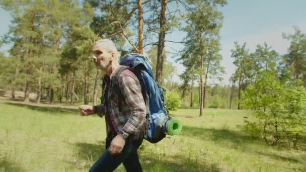 Actief volwassen grijs harige backpacker man wandelen in de zomer bos — Stockvideo