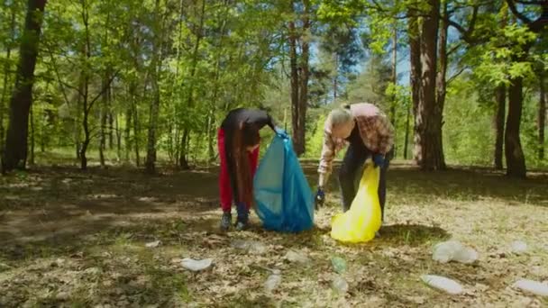 Pessoas adultas ecológicas limpando florestas do lixo — Vídeo de Stock