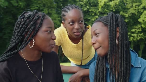 Веселые симпатичные чернокожие девочки-подростки, дружелюбно гуляющие на летней природе — стоковое видео