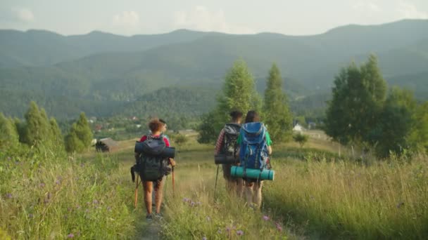 Multiracionális túrázók hátizsákkal és túrabottakkal, akik hegyről lefelé sétálnak — Stock videók