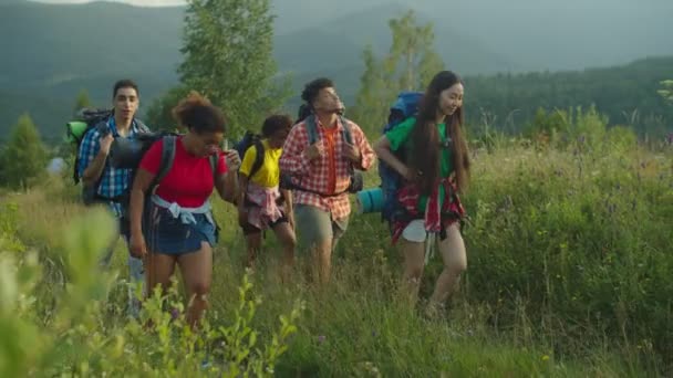 Diverse multi-etnische wandelaars met rugzakken genieten van uitzicht op de bergen op de trek — Stockvideo