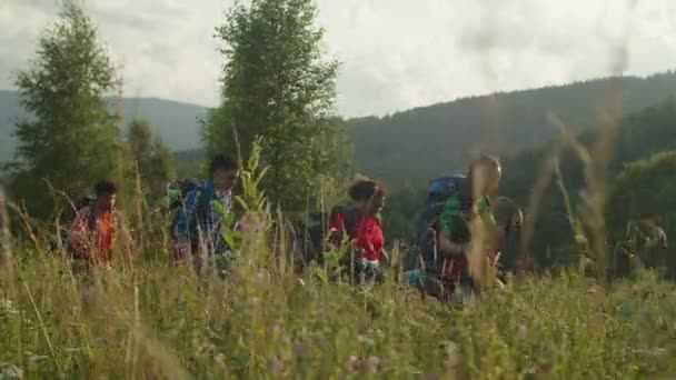 Mochileiros multirraciais diversificados positivos caminhando em colinas de montanha ao pôr do sol — Vídeo de Stock