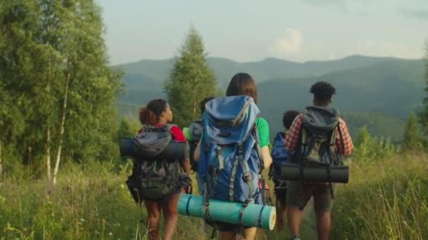 Joyful multiraciale wandelaars vieren succesvolle bergwandelingen en geven high five bij zonsondergang — Stockvideo