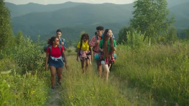 Groep van vrolijke multiraciale reizigers met rugzak bergbeklimmende berg heuvel — Stockvideo