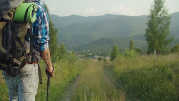 Divers touristes multiraciaux avec sacs à dos et bâtons de randonnée descendant sentier de montagne — Video
