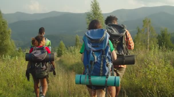 Happy joyful diverse multiethnic backpackers with hands up celebrating successful mountain hiking — Stock Video