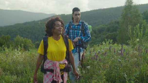 Groep van diverse multiraciale wandelaars met rugzakken genieten van bergwandelen bij zonsondergang — Stockvideo