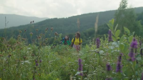 Encantadoras excursionistas multiétnicas con mochilas trekking en la montaña al atardecer — Vídeo de stock