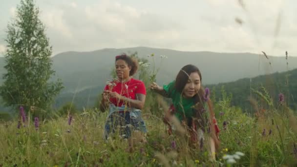 Joyeux joyeux jolies voyageuses multiraciales recueillant des fleurs sauvages et des herbes sur la colline de montagne — Video