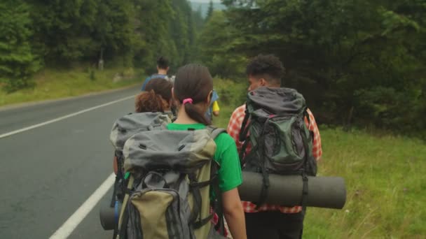 Groep actieve multiraciale toeristen met rugzakken trekking langs de snelweg in de bergen — Stockvideo