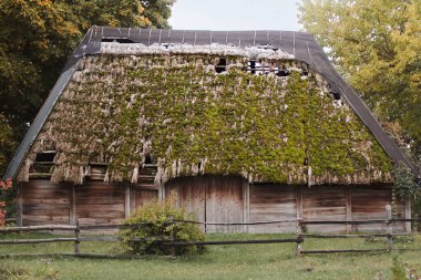 Pirohiv Açık Hava Müzesi Ukrayna 'da Sonbaharda Geleneksel Ukrayna Binaları. Ukrayna 'nın başkenti Kyiv yakınlarındaki Pirohiv Açık Hava Müzesi' ndeki geleneksel Ukrayna ahşap binalarının sonbahar manzarası.