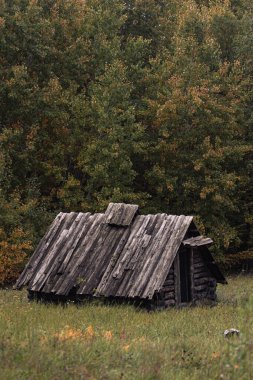 Pirohiv Açık Hava Müzesi Ukrayna 'da Sonbaharda Geleneksel Ukrayna Binaları. Ukrayna 'nın başkenti Kyiv yakınlarındaki Pirohiv Açık Hava Müzesi' ndeki geleneksel Ukrayna ahşap binalarının sonbahar manzarası.