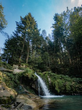 Sonbaharda Ukrayna 'daki Karpatlar' ın panoramik manzarası. Renkli yapraklarla kaplı yuvarlanan tepeler ve çeşitli bitkiler, seyahat, doğa, mevsim ve sonbahar temalı projeler için ideal barışçıl ve manzaralı bir manzara oluşturur..