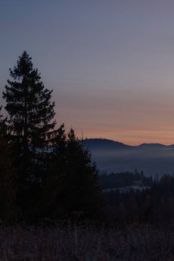 Karpat Dağları 'ndaki saman yığınları, Ukrayna Kırsal Arazisi. Geleneksel kırsal alan yuvarlanan tepeler, yeşil çayırlar ve istiflenmiş samanlarla. Ukrayna kırsalının manzaralı görüntüsü, doğa ve seyahat fotoğrafçılığı için ideal.
