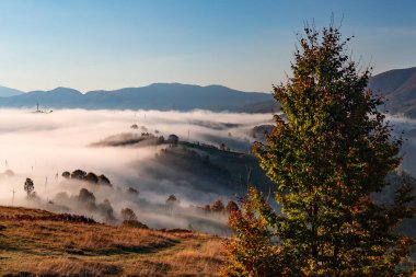Sonbaharda geleneksel mimarisi olan Sisli Karpat Dağları, Ukrayna. Sonbahar renkleri yerel mirası ve kırsal yaşam tarzını vurgulayan mistik mevsimsel bir manzara yaratır..