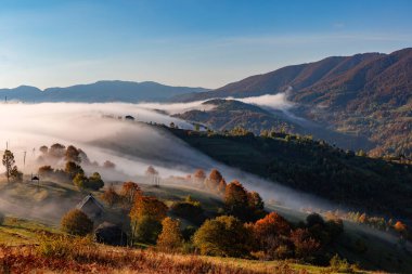 Sonbaharda geleneksel mimarisi olan Sisli Karpat Dağları, Ukrayna. Sonbahar renkleri yerel mirası ve kırsal yaşam tarzını vurgulayan mistik mevsimsel bir manzara yaratır..