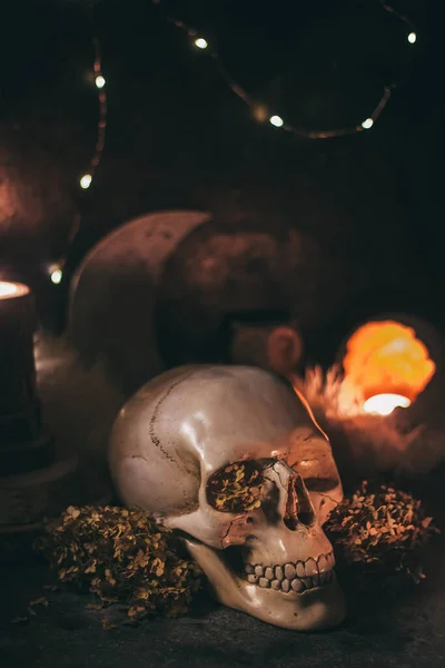 Ockulta Mystiska Rituella Halloween Trolldom Scen Människoskalle Ljus Torkade Blommor — Stockfoto