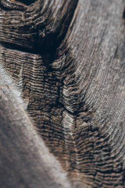 Ahşap doku arka planı. Kahverengi ahşap doku, arkaplan ürünü için metin ya da iş tasarımı için eski ahşap doku.