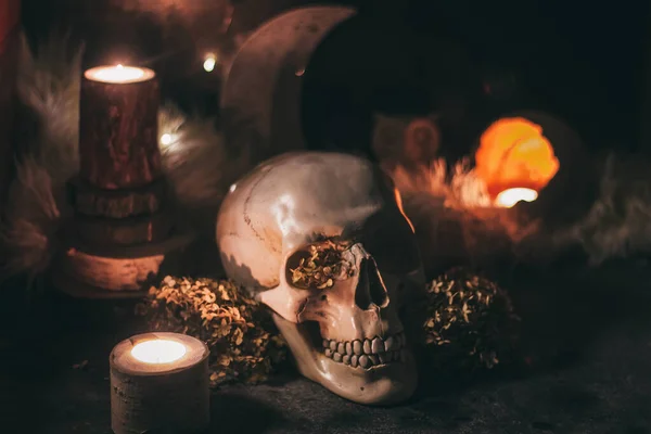 Okkulte mystische rituelle Halloween-Hexerei - menschlicher Schädel, Kerzen, getrocknete Blumen, Mond und Eule — Stockfoto