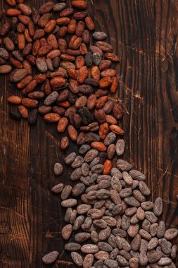 Çiğ kakao çekirdeği. Kahverengi arka planda iki tip Venezuela..