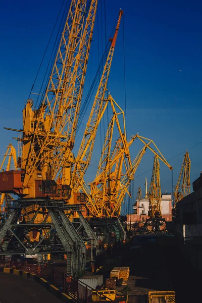 Odessa ticari limanı. Toplam nakliye tonajı açısından dünyanın en işlek limanıdır.