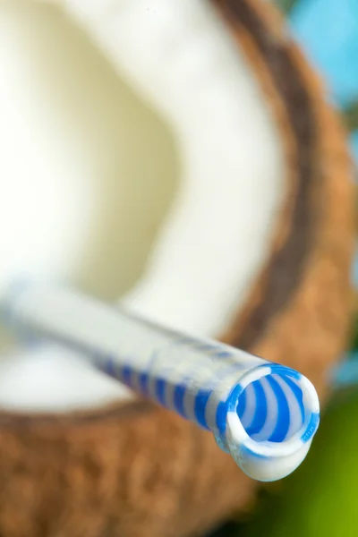 Kokosnoot sap met stro exotische vakantie reizen achtergrond concept — Stockfoto