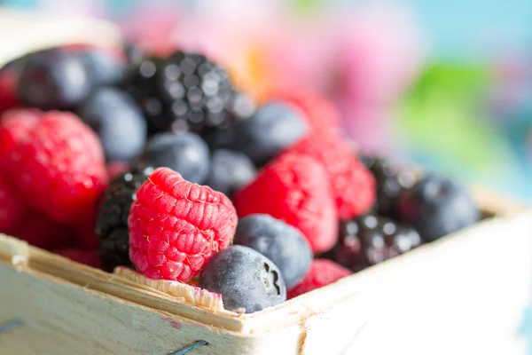 Berries closeup background with raspberries, blueberries and blackberries — Stock Photo, Image
