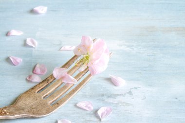 Çatal yemek kavramı kiraz çiçeği