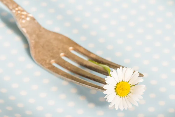 Frühlingsessen abstrakter Hintergrund mit Gänseblümchen auf der Gabel — Stockfoto