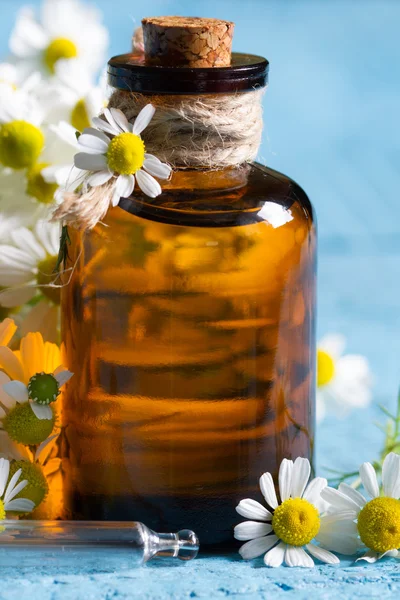 Aceite de manzanilla con las flores frescas de cerca — Foto de Stock