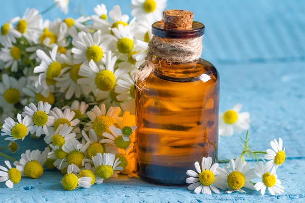 Aceite de manzanilla con las flores frescas de cerca —  Fotos de Stock