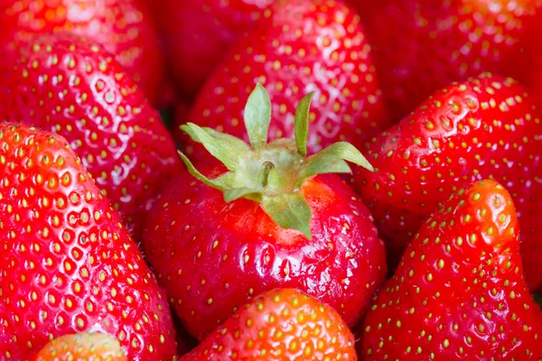 Olika strawberry affärsidé med ledarskap i teamet — Stockfoto