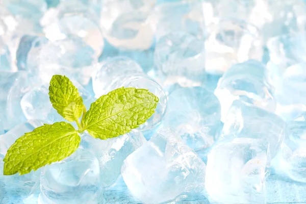 Cubos de gelo e folhas de hortelã fresca fundo abstrato em placas azuis — Fotografia de Stock