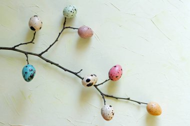 Hafif arka planda yumurta dallı Paskalya süslemesi