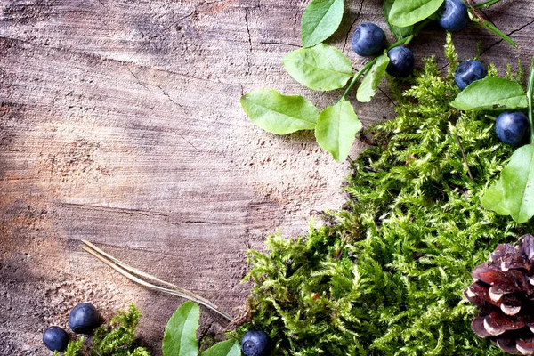 Forest Background Moss Fern Leaves Blueberries Old Wooden Board — Stock Photo, Image