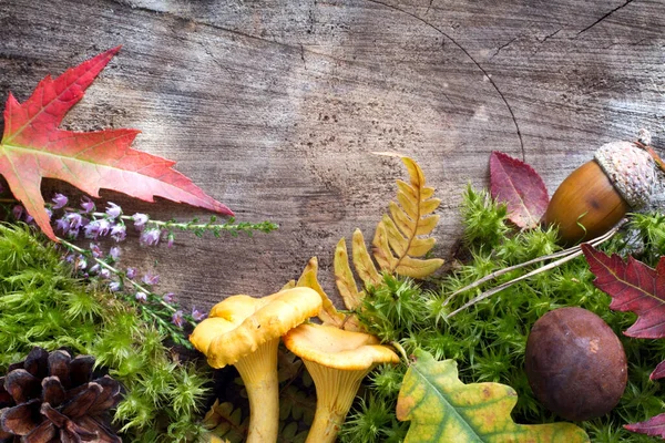 Fondo Del Bosque Otoñal Con Setas Hojas Musgo Sobre Tabla — Foto de Stock