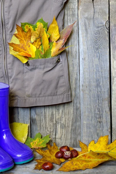 秋季服装搭配的木板上抽象的概念上的叶子 — 图库照片