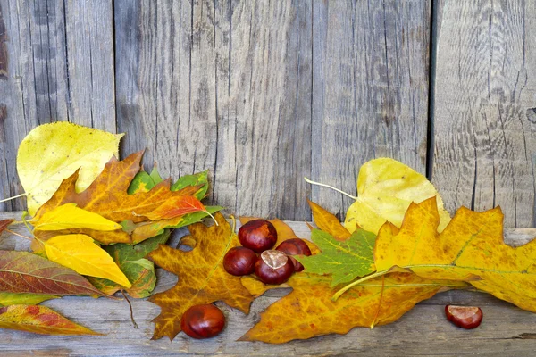 Autumn listowie na desce — Zdjęcie stockowe