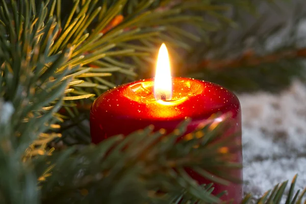 Kerstmis Rode kaars wit fir close-up — Stockfoto