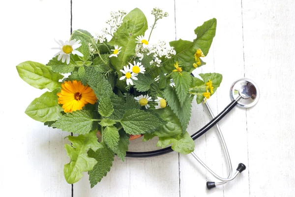 Friss növényt és sztetoszkóp alternatív gyógyászat fogalmát — Stock Fotó