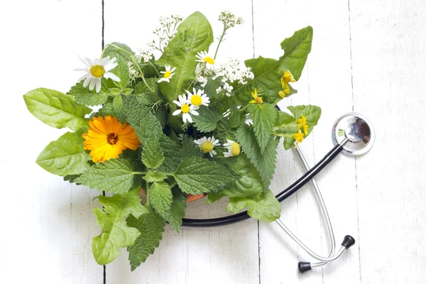 Hierba fresca y estetoscopio concepto de medicina alternativa —  Fotos de Stock