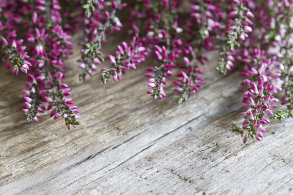 Heidekraut auf Holzbrettern abstrakter floraler Hintergrund — Stockfoto