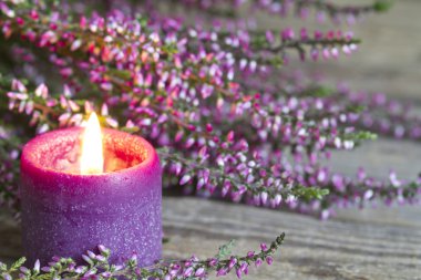 Heather ahşap Komiteler çiçek arka plan üzerinde